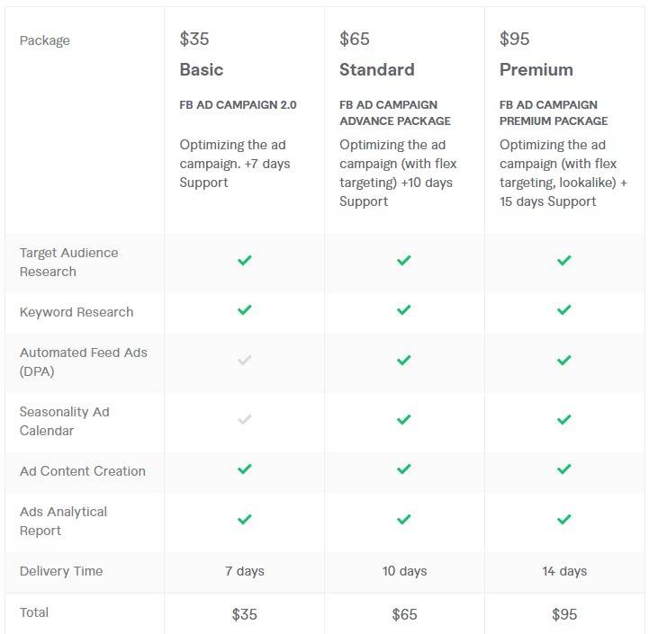 Facebook ad campaign service