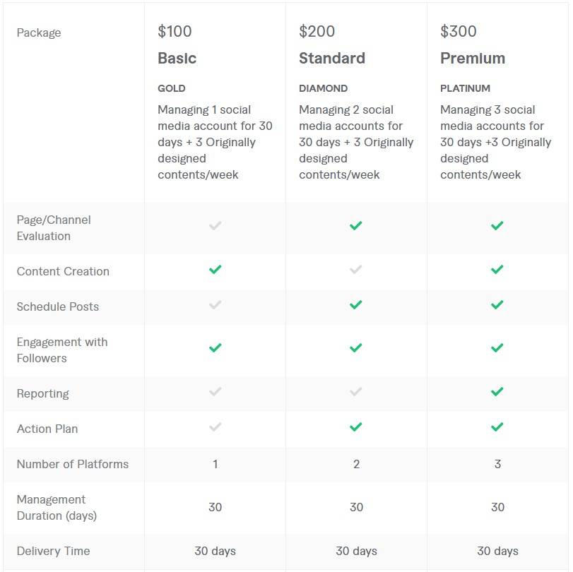 social media management service